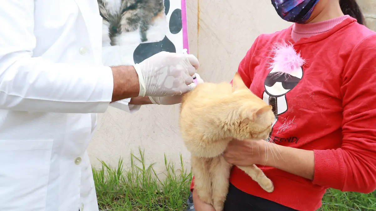 51338058049_9b8eb428e2_o