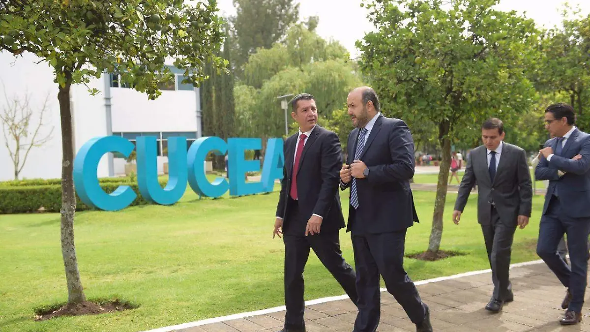 rector cucea
