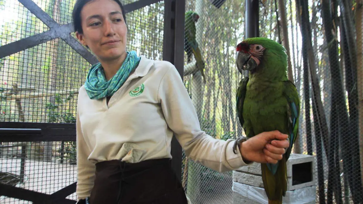 19 zoológico 5