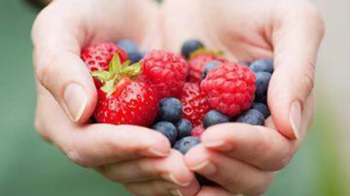 Berries