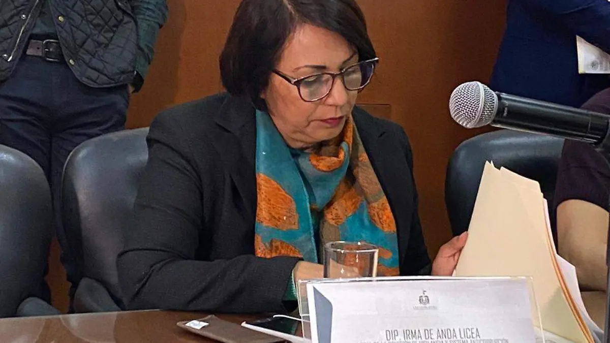 Diputada irma de Anda