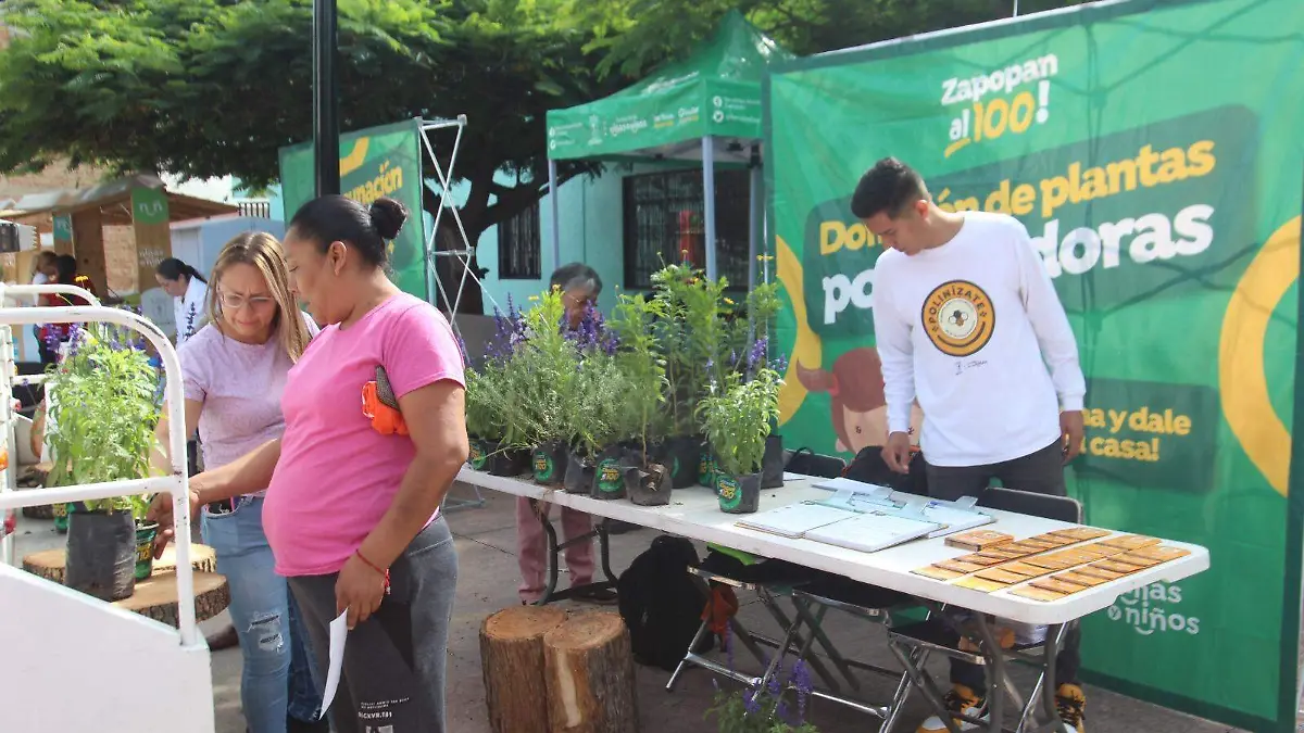 Programa Zapopan al 100-Aurelio Magaña