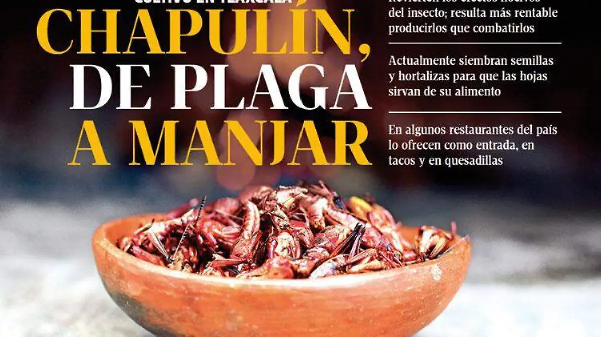 chapulines