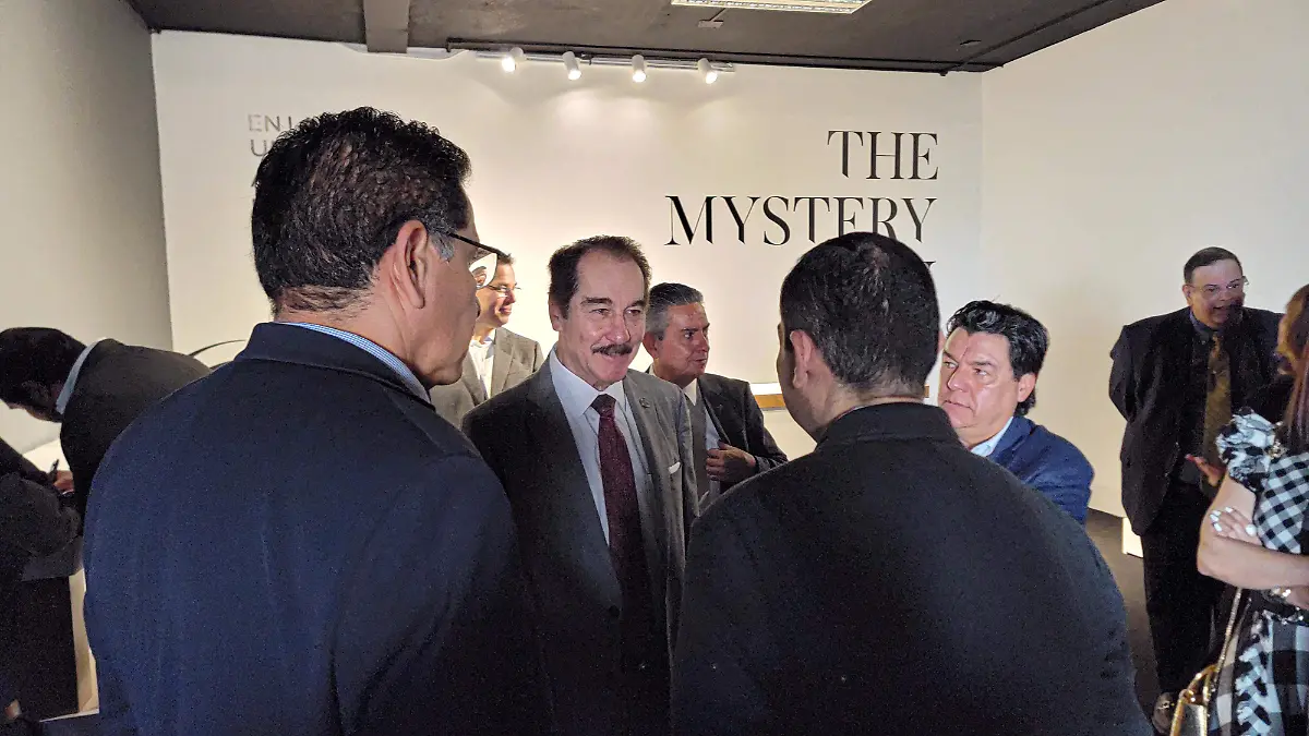 The Mystery Man02.jpg