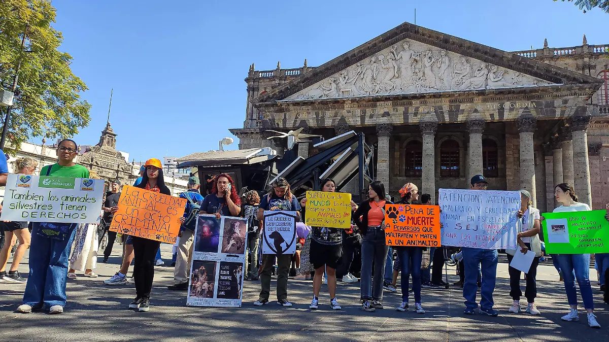 Manifestación para defender a los animales. Foto. David Tamayo (1).jpeg