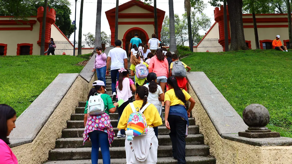 Parques y bosques (2).JPG