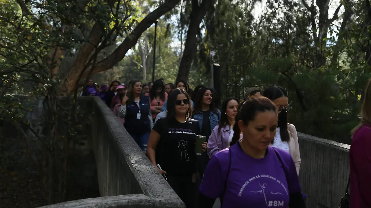 Parques y bosques (3).JPG