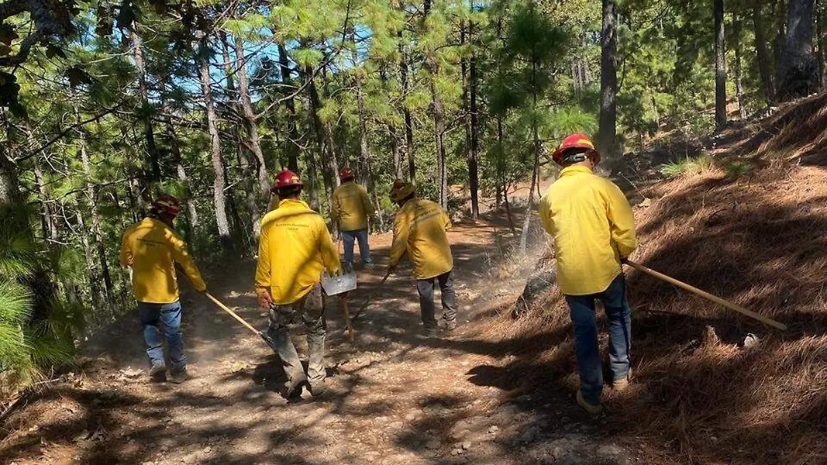 Bomberos