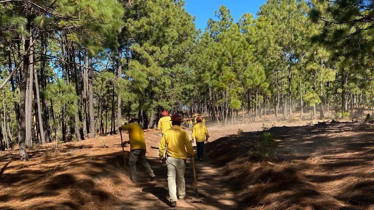 Trabajos campo bomberos