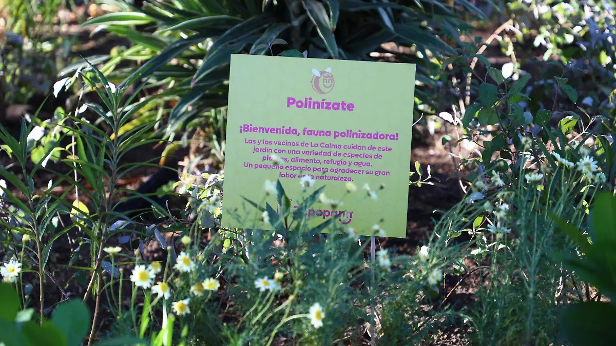 Cercanía Ciudadana Zapopan.jpg