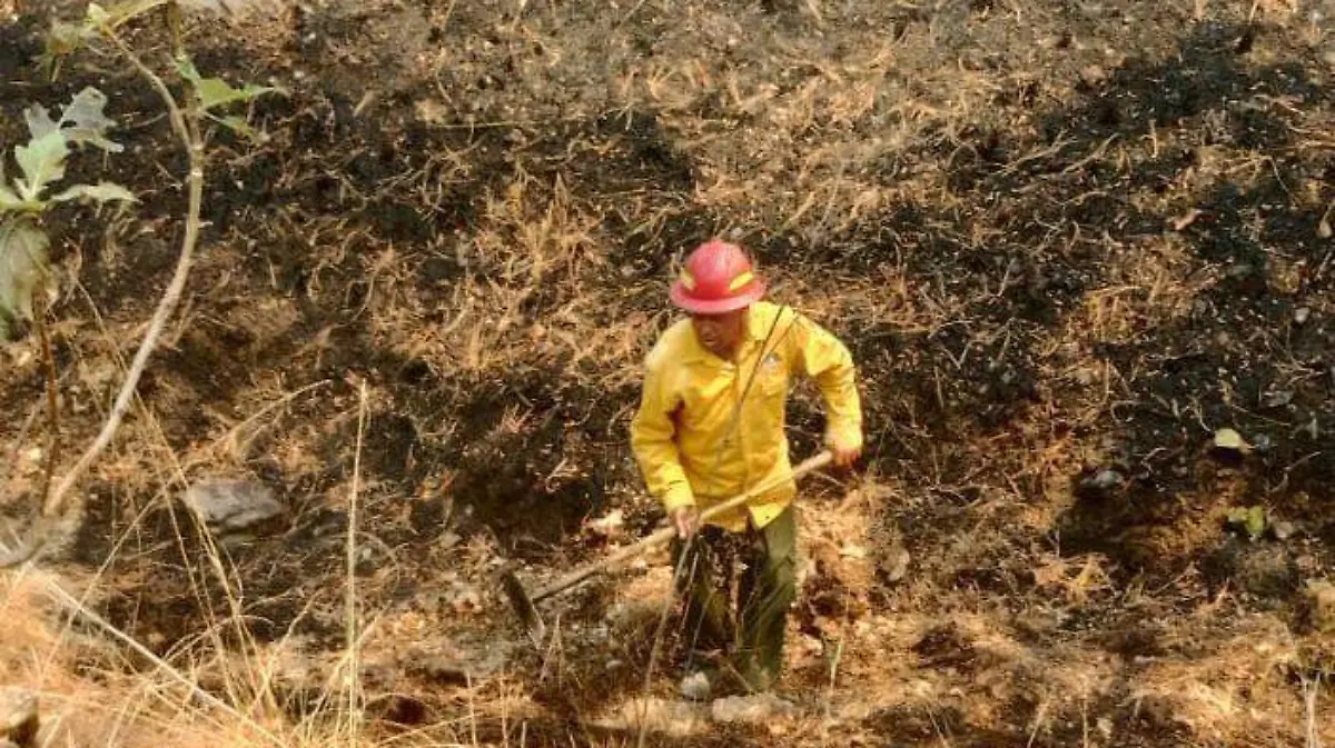 Incendio Protección Civil Jalisco (1).jpeg