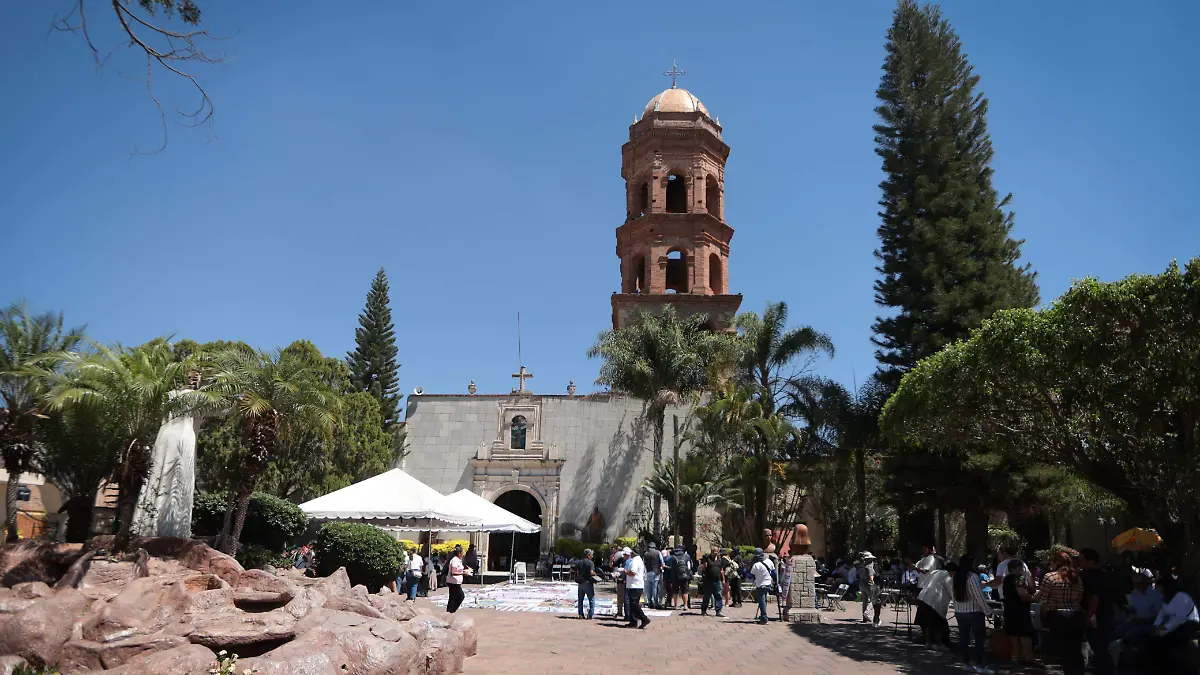 WhatsApp Image 2025-03-16 at 2.56.24 PM.jpeg