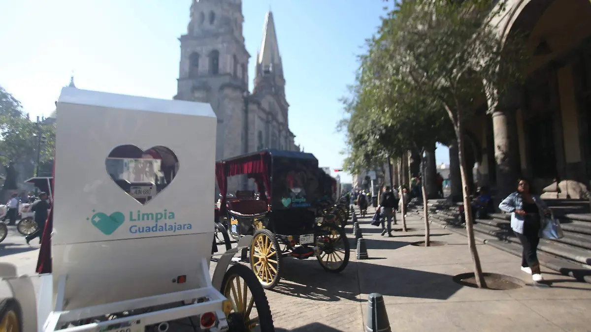 Entrega de Calandrias Eléctricas31.JPG