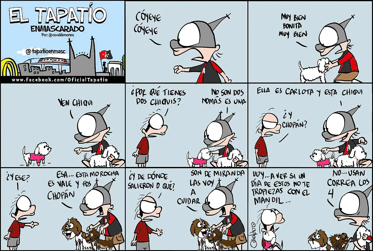 El Tapatío Enmascarado