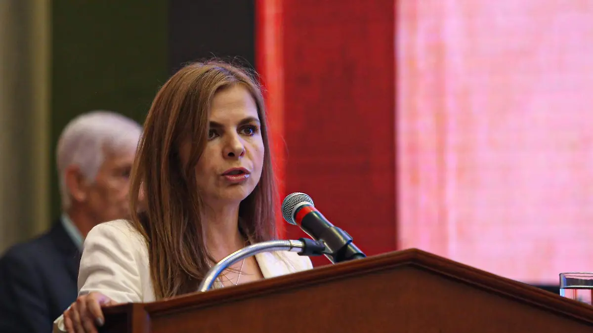 Toma protesta 17.jpg