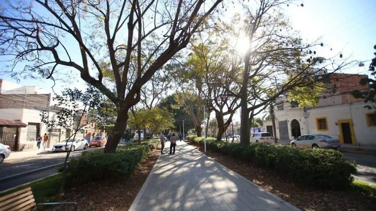 Ecología Seattle en Zapopan