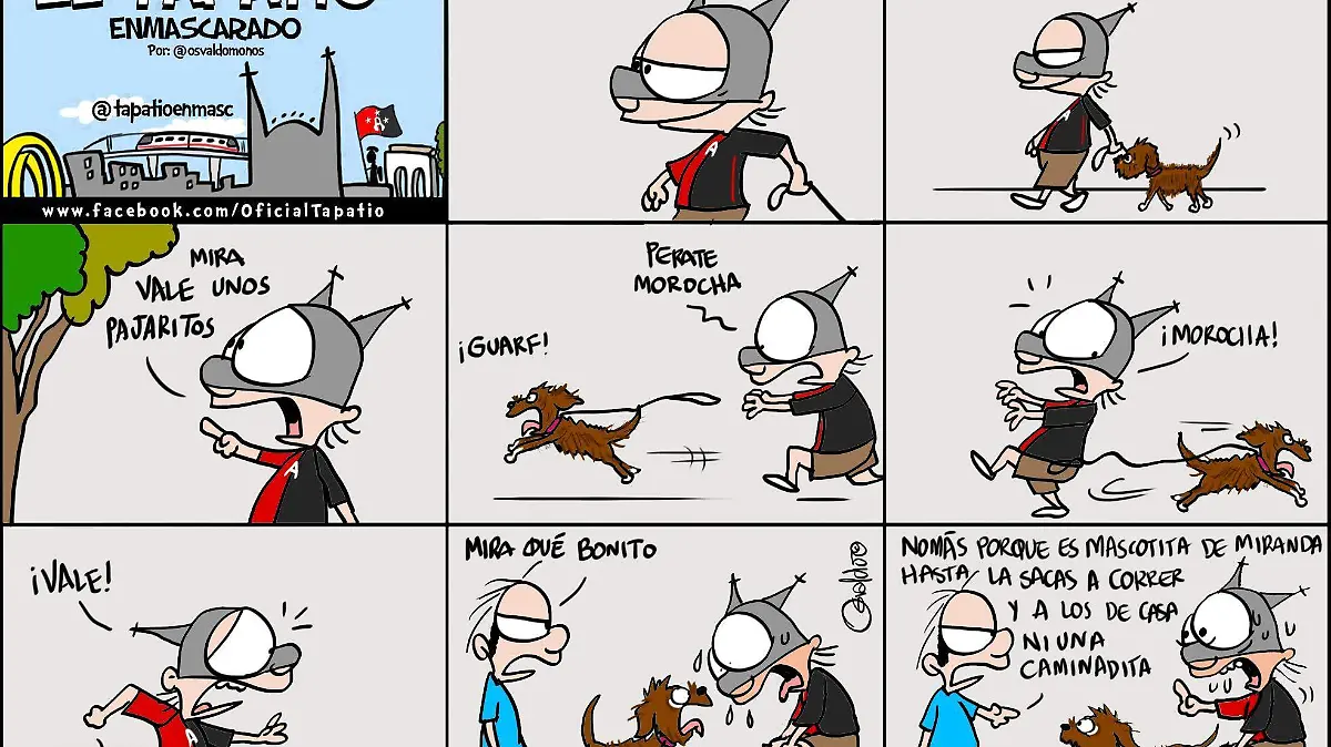 El Tapatío Enmascarado