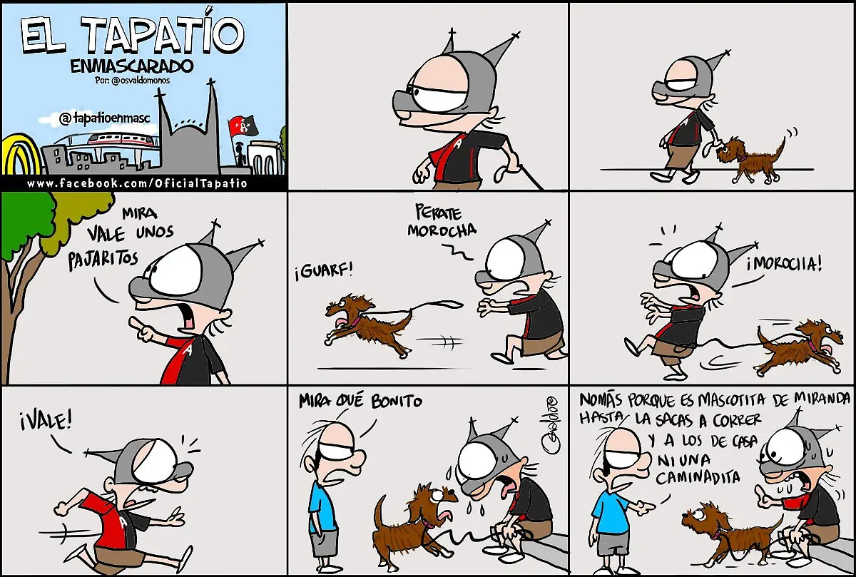 El Tapatío Enmascarado