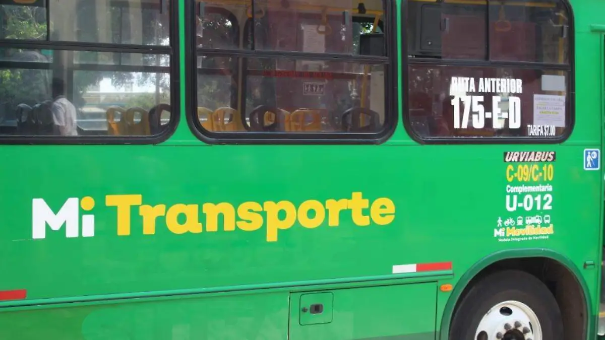 Camion (21)