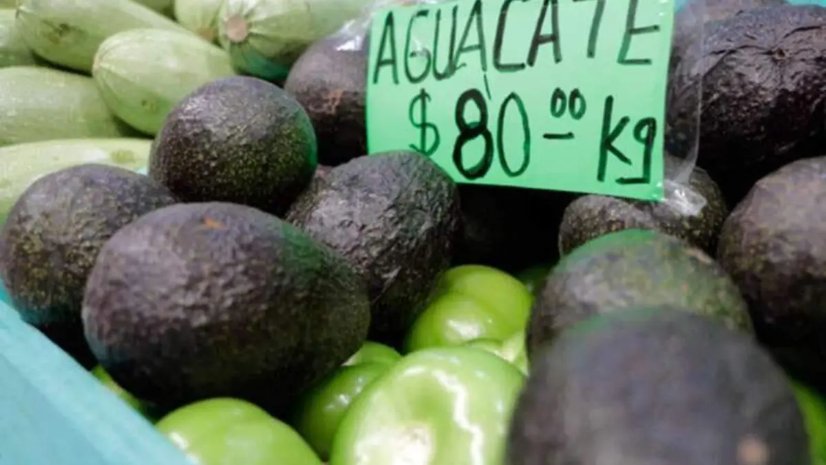aguacate