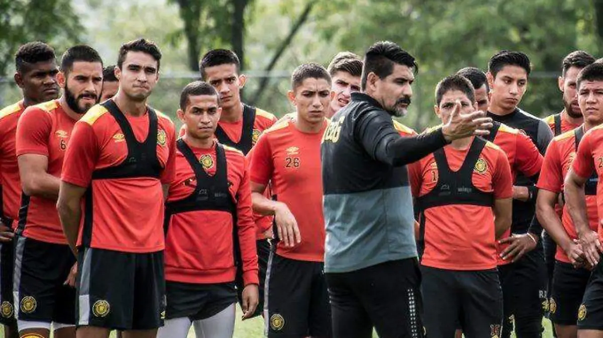 leones negros