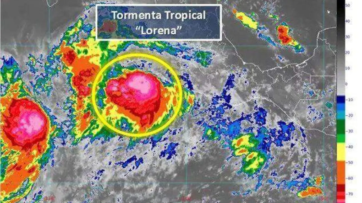 lorena