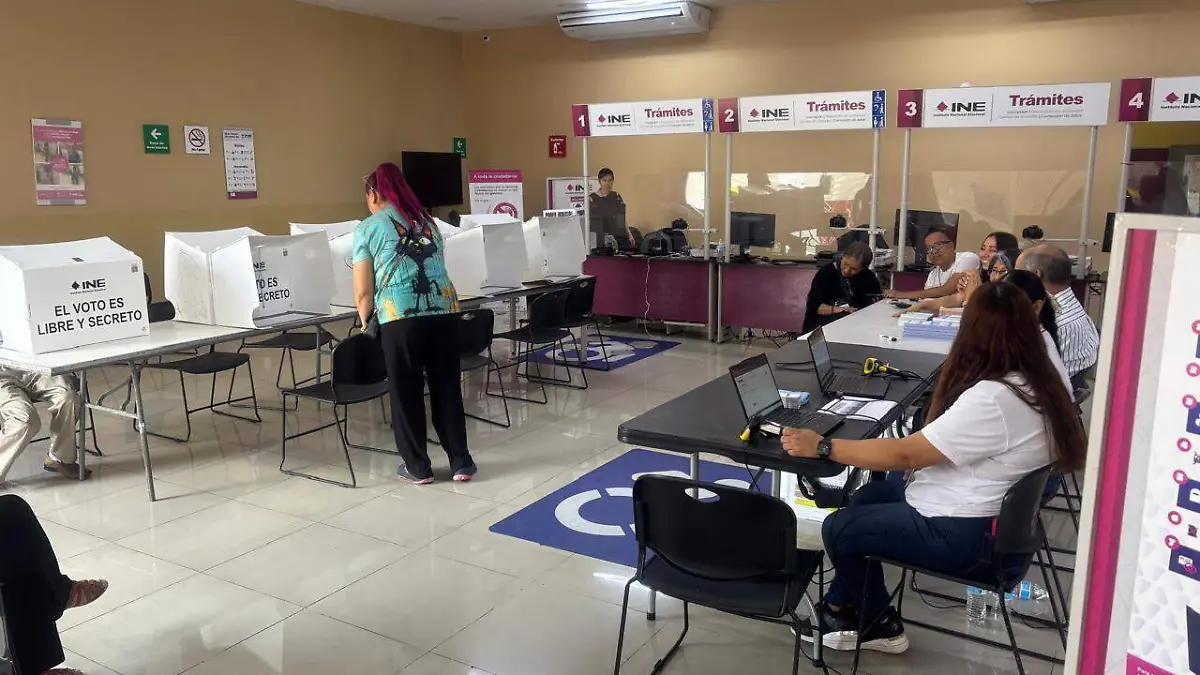 Elecciones adultos