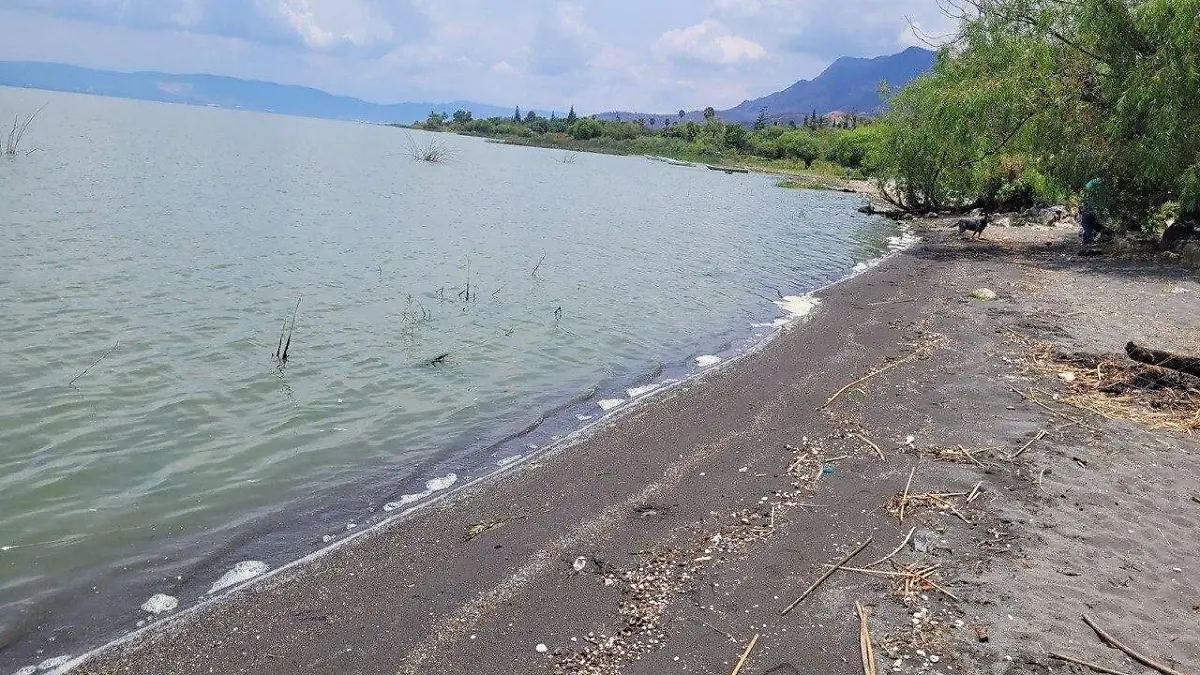 Lago de Chapala (2)