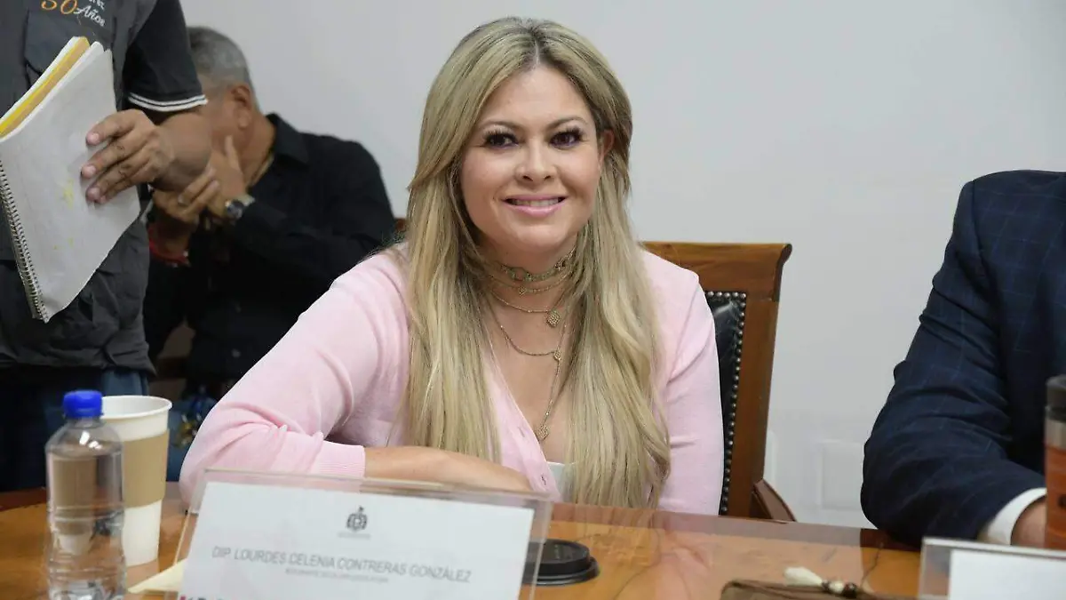 Diputada Celenia