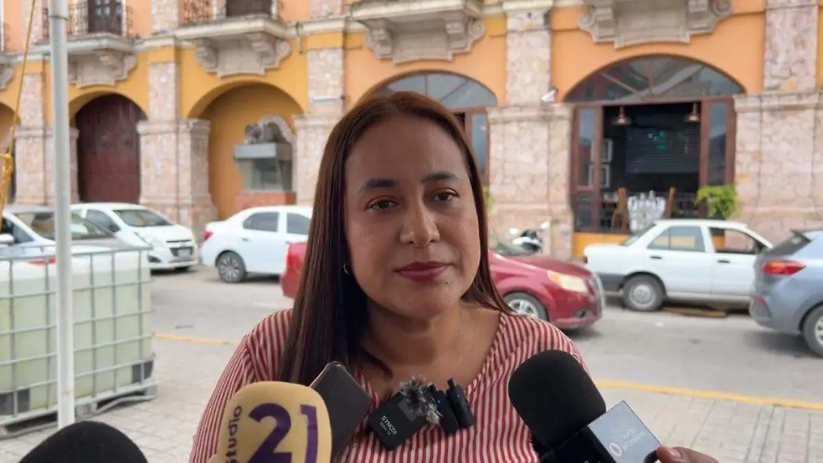 Diputada local, Marisol Sánchez