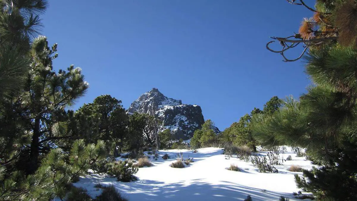 Nevado de Colima 1