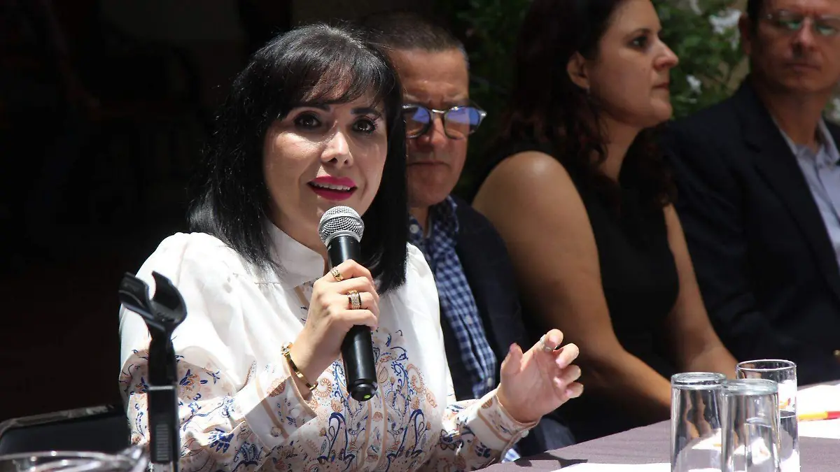 Diputada Marta Estela Arizmendi
