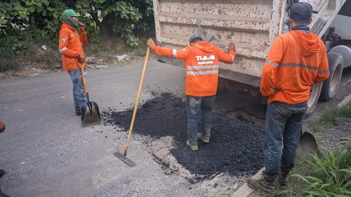 Baches Foto Pablo Toledo