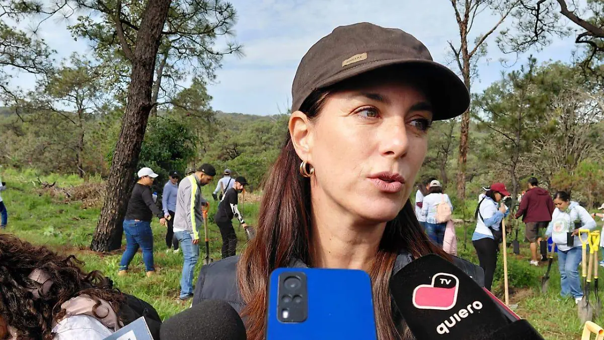 Verificación