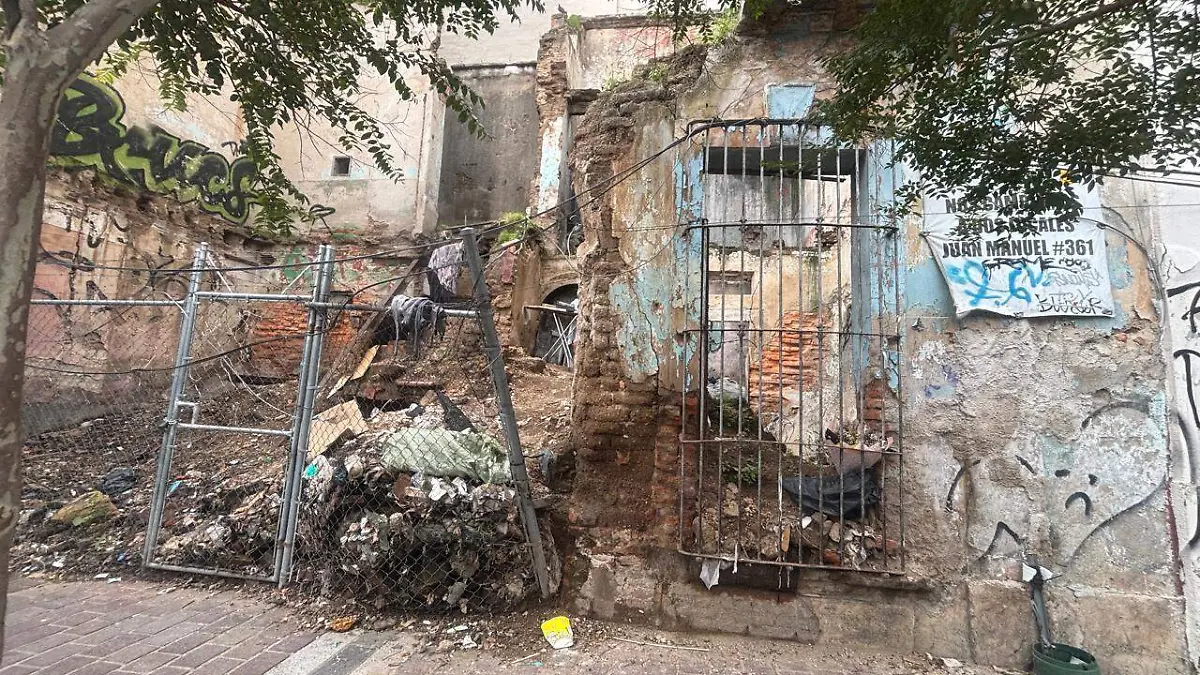 Viridiana Saavedra (2).jpeg