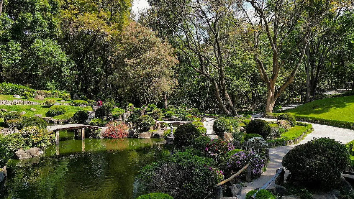Bosque de Los Colomos