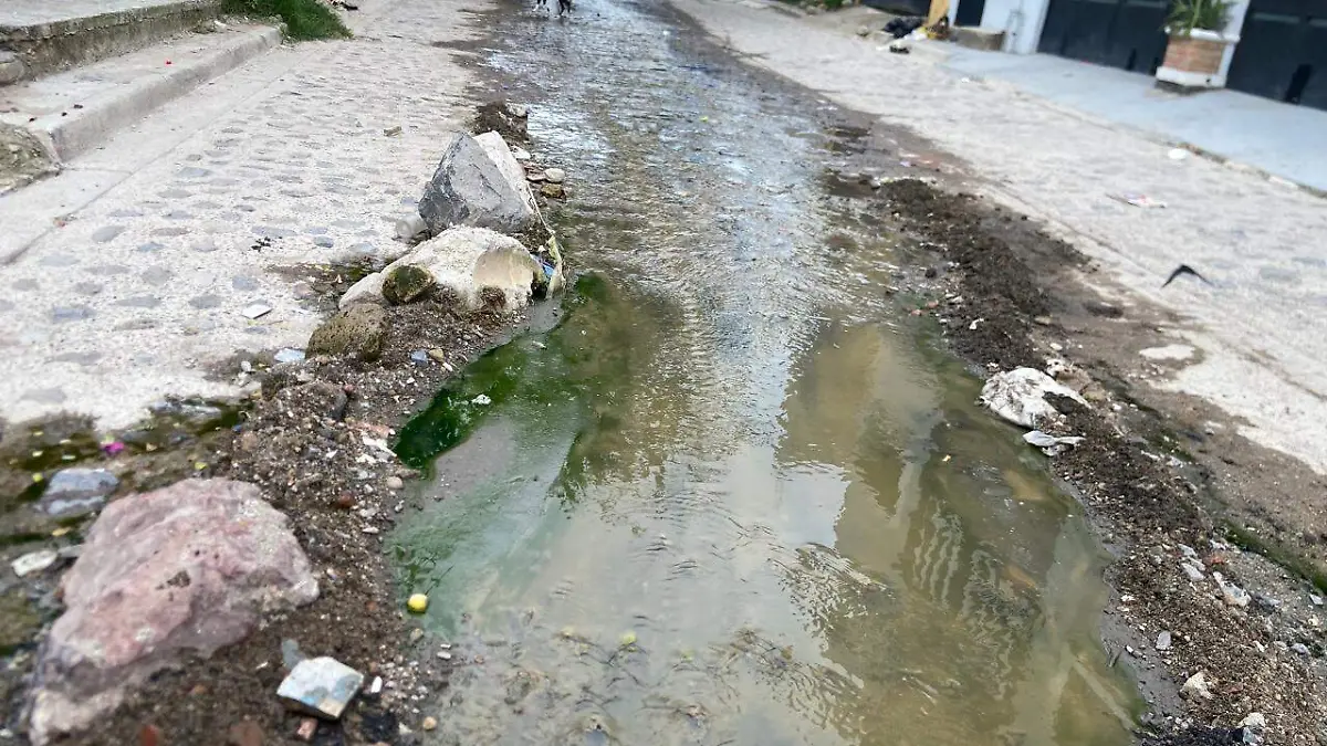 aguas negras