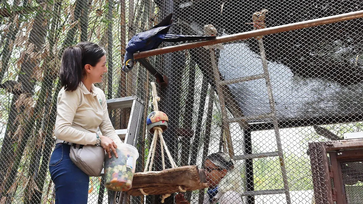 Zoológico Guadalajara