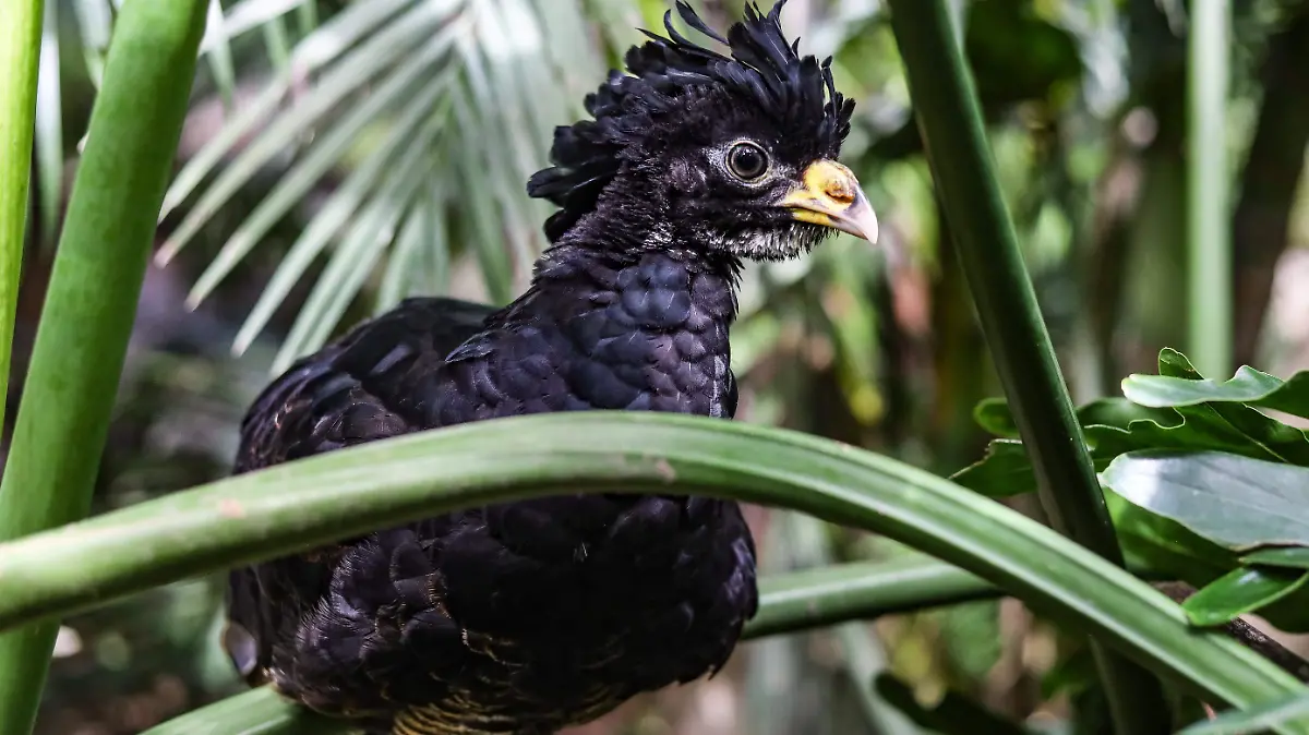 animales zológico (20).jpg