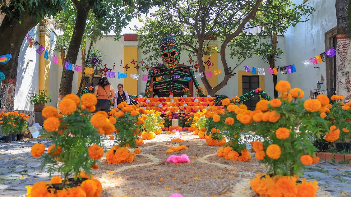 Día de Muertos. Pablo Toledo (20)