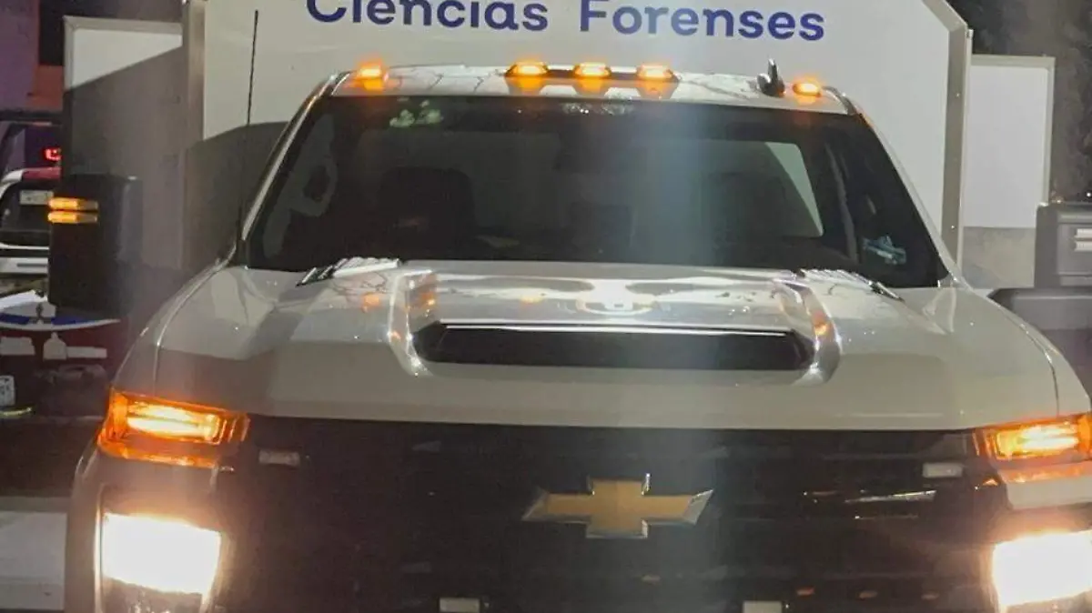 WhatsApp Image 2025-10-17 at 17.04.12