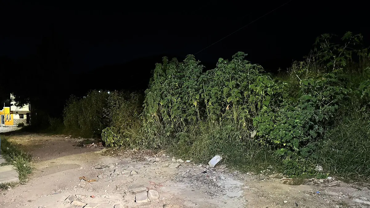 Román Ortega  (2).jpeg