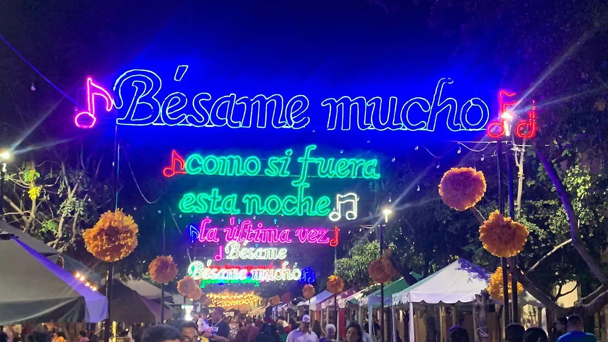 andador 20 de noviembre 