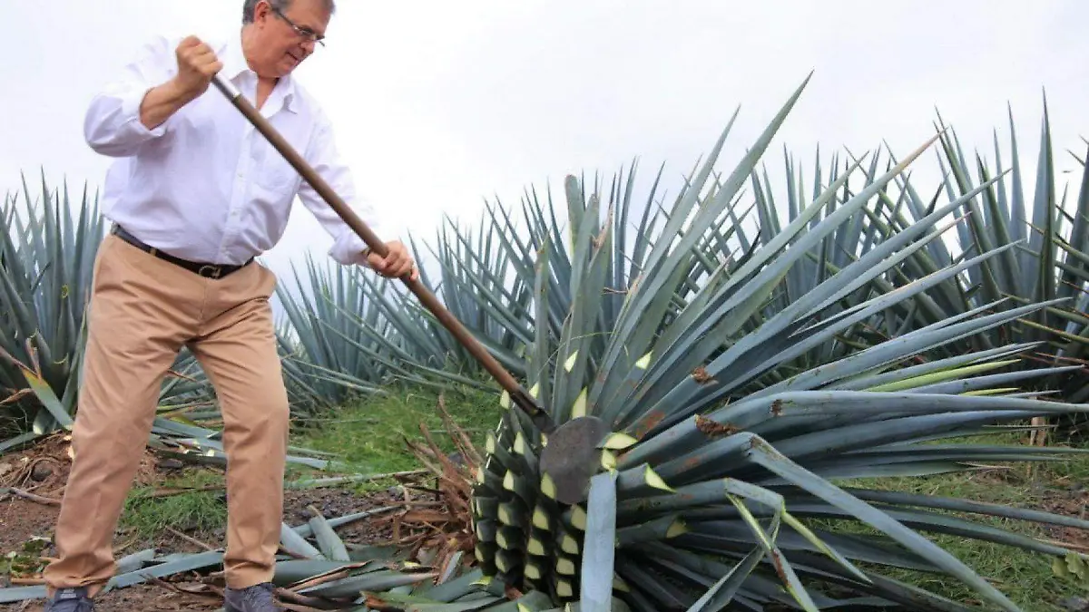 894045_Marcelo Ebrard Calentadores Solares Jalisco_web