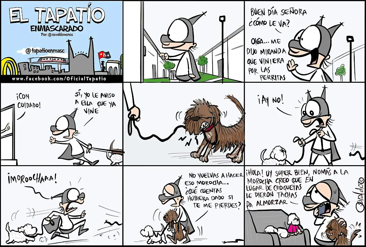 El Tapatío Enmascarado