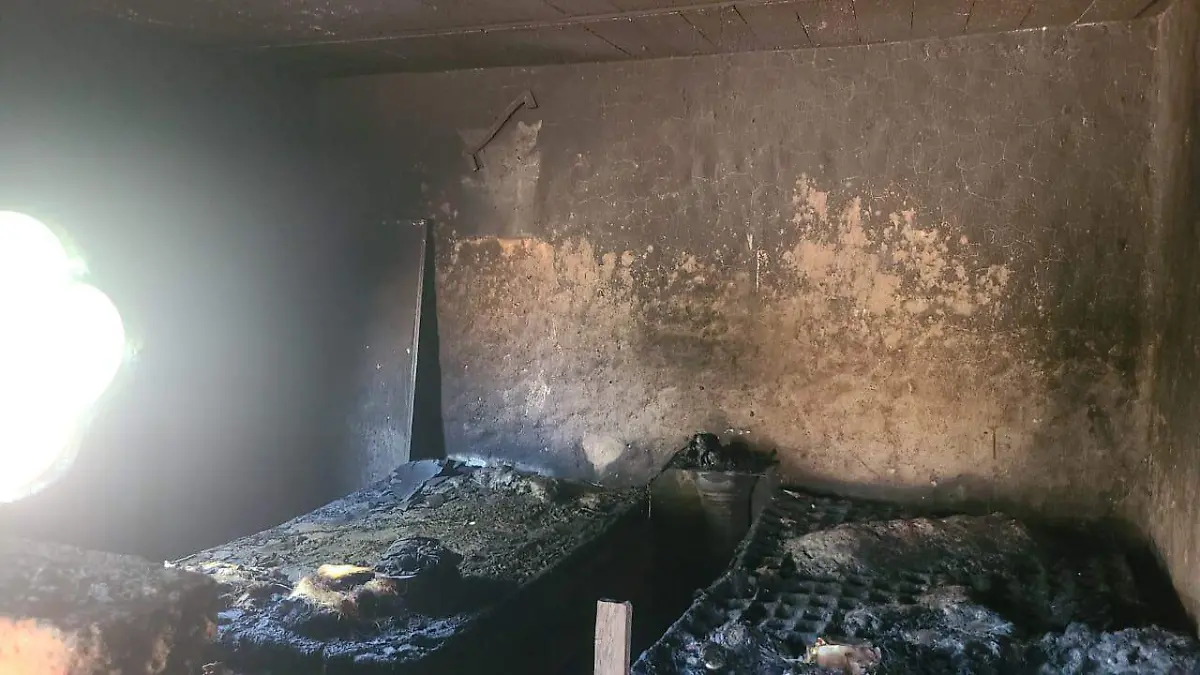 WhatsApp Image 2025-12-10 at 5.47.54 PM (2)