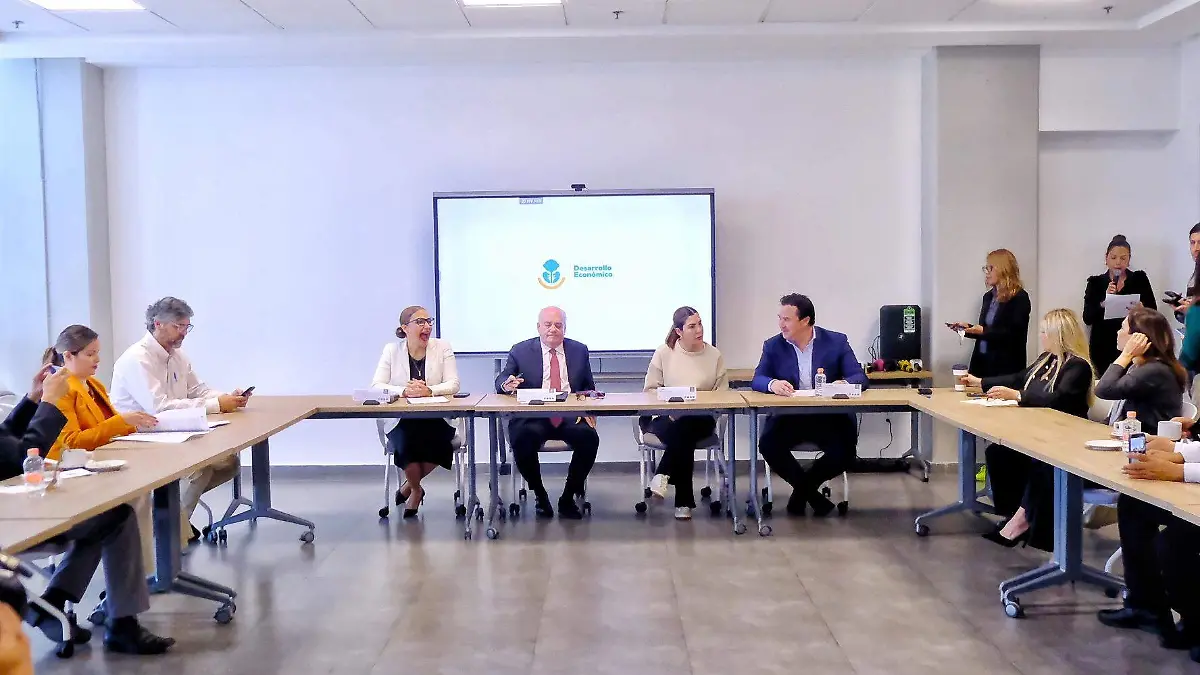 Desarrollo Económico Jalisco  (2).jpg