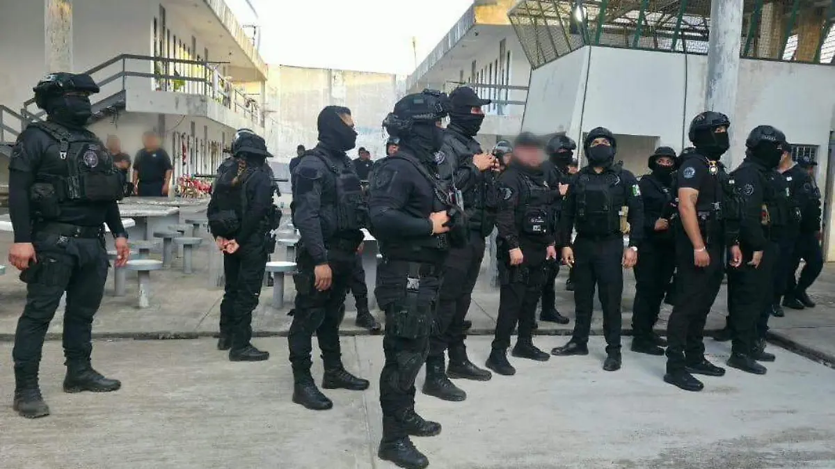 WhatsApp Image 2025-12-16 at 3.33.17 PM