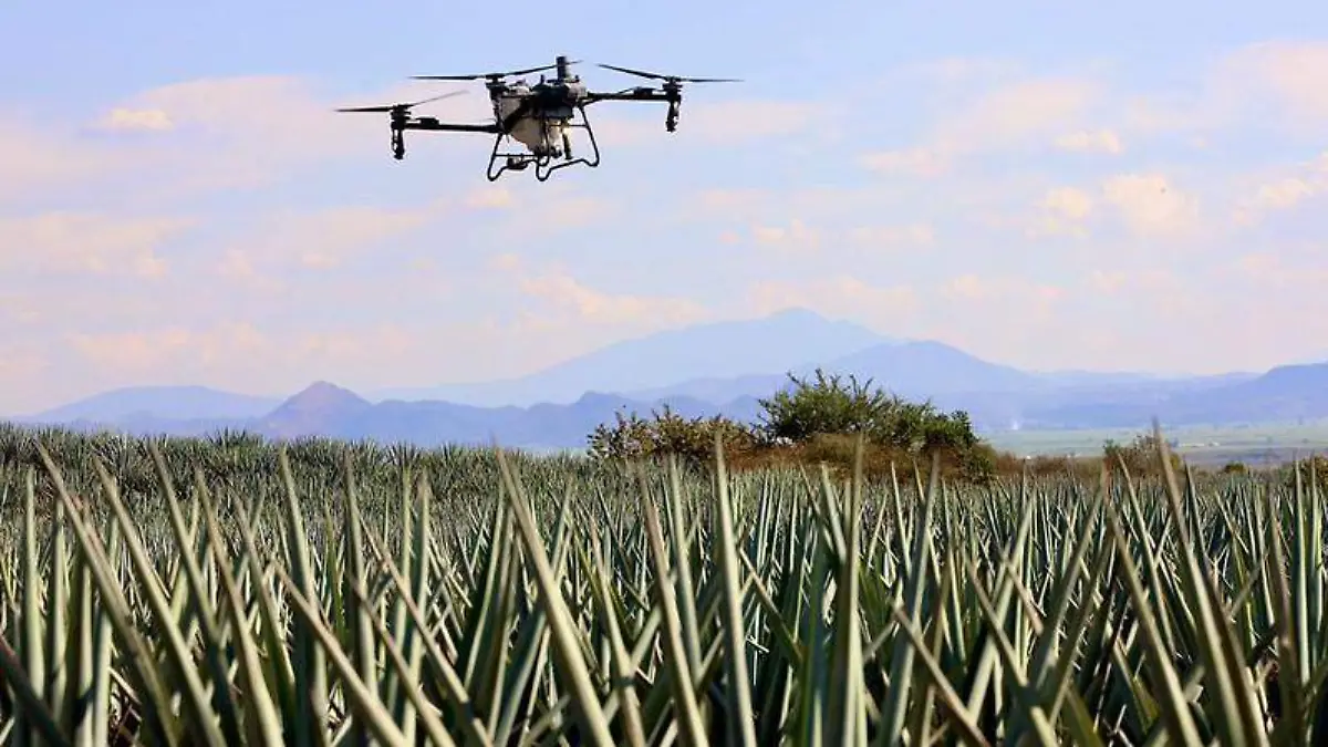 Drones ayudarán al campo