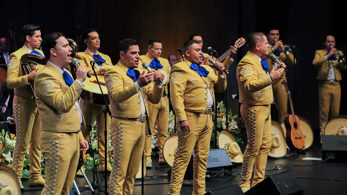 540685237_1318981049594493_8795408450533259130_n